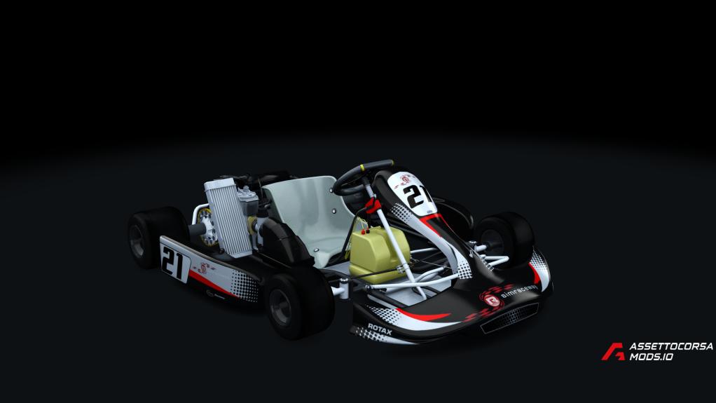 Rotax Senior Kart fix v4