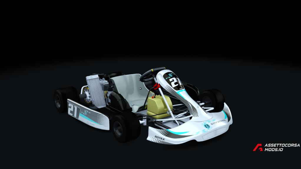Rotax Senior Kart fix v4