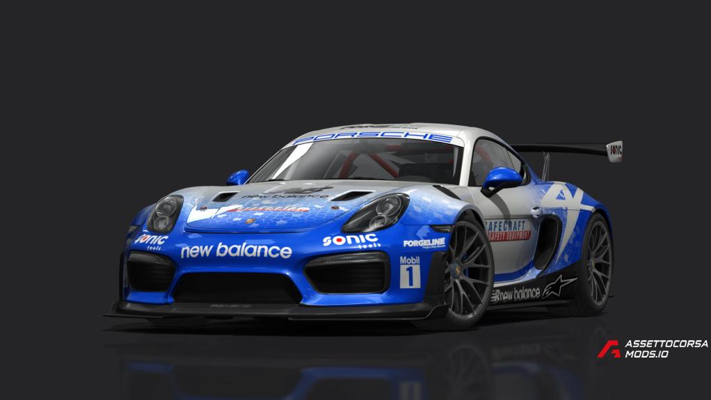 Porsche Cayman 981 BFR GT3