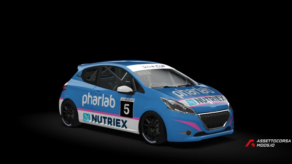 Peugeot 208 Cup
