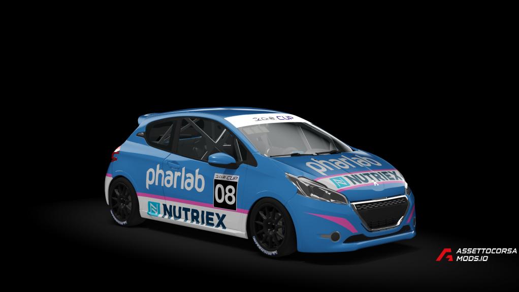 Peugeot 208 Cup