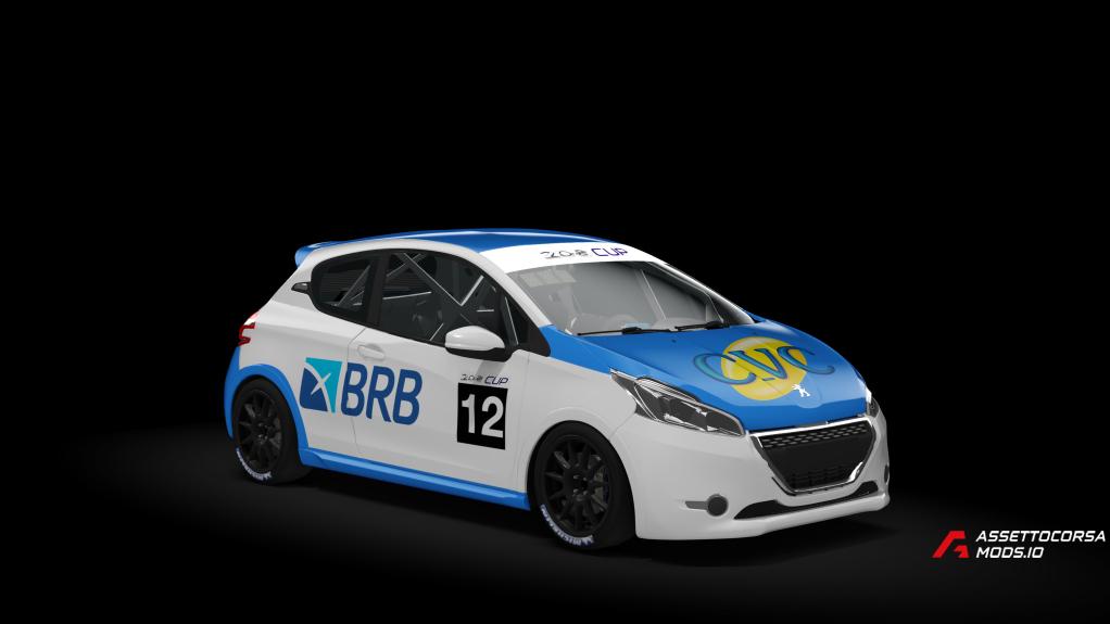 Peugeot 208 Cup