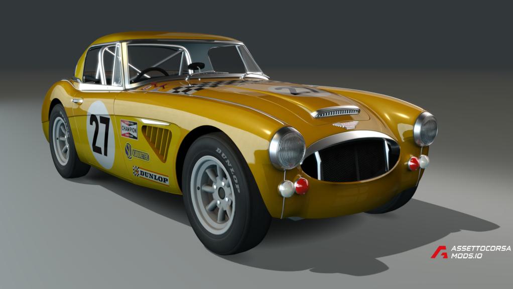 Austin Healey 3000lw (gravel)