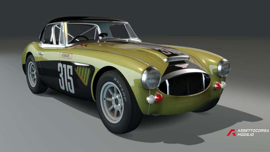 Austin Healey 3000lw (gravel)