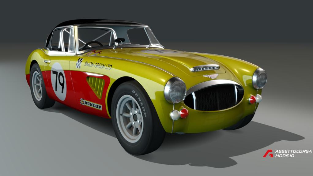 Austin Healey 3000lw (gravel)