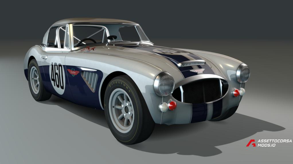 Austin Healey 3000lw (gravel)
