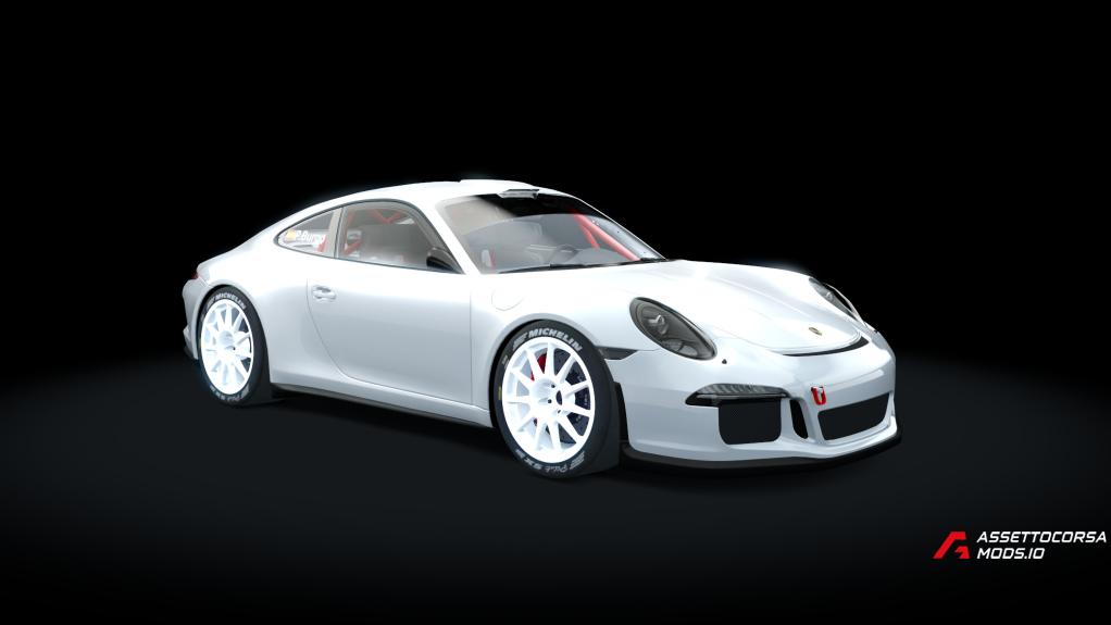 Porsche 911 Rally