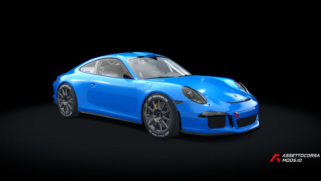 Porsche 911 Rally