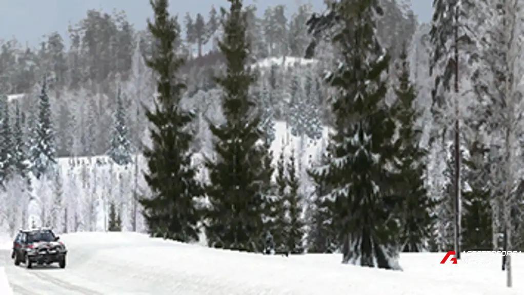 Kuadonvaara