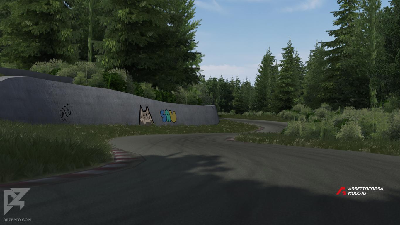 Cat Circuit
