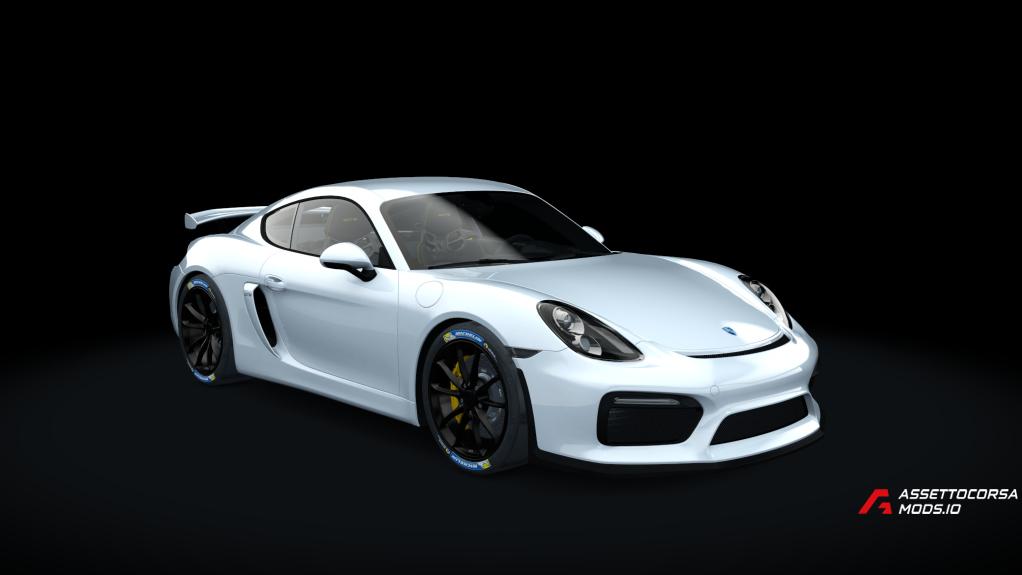 Porsche Cayman GT4 [1S Tune]