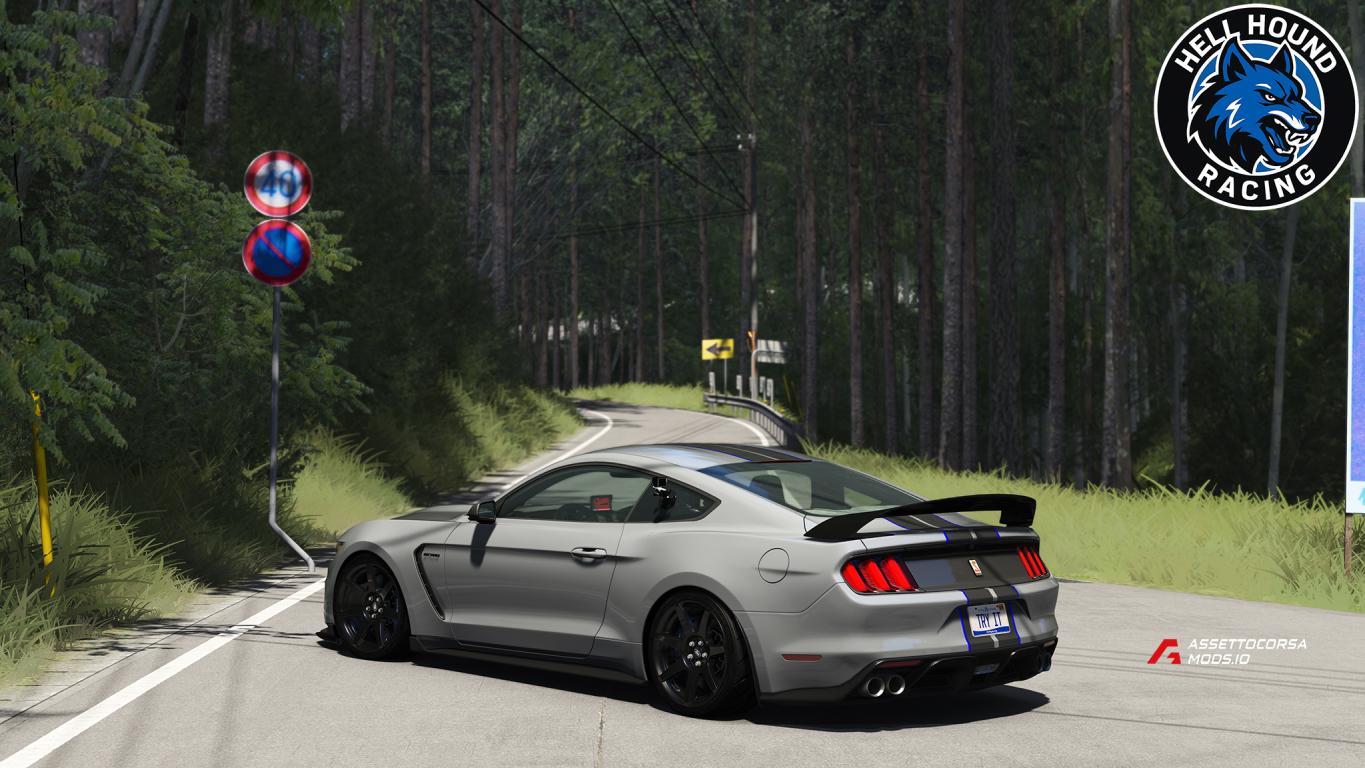 Shelby Mustang GT350r 1000R HHRC Tuned