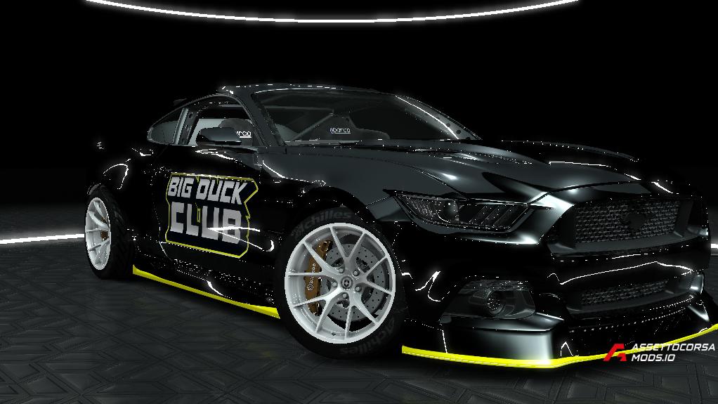 BIG DUCK CLUB | Ford Mustang S550 Public