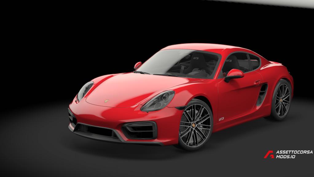 Porsche Cayman GTS 981 | TGN trackday performance