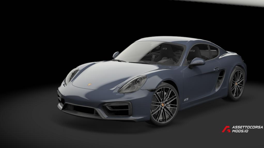 Porsche Cayman GTS 981 | TGN trackday performance