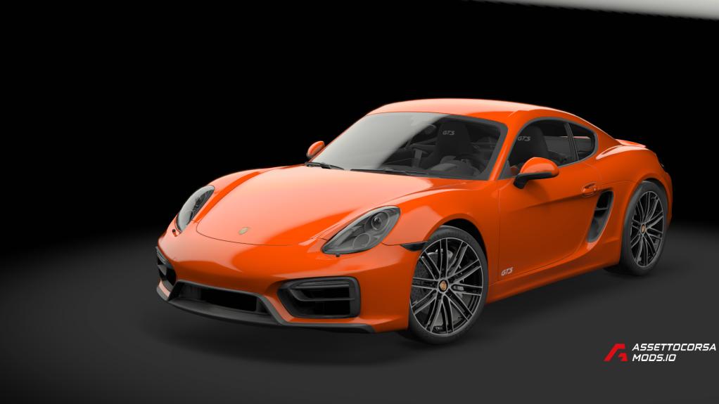 Porsche Cayman GTS 981 | TGN trackday performance