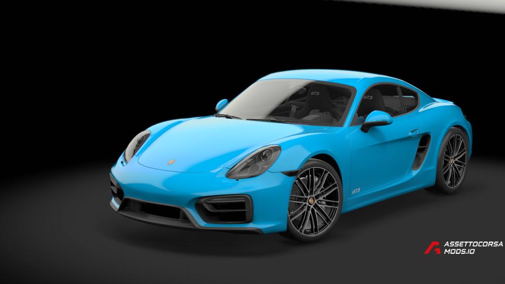Porsche Cayman GTS 981 | TGN trackday performance