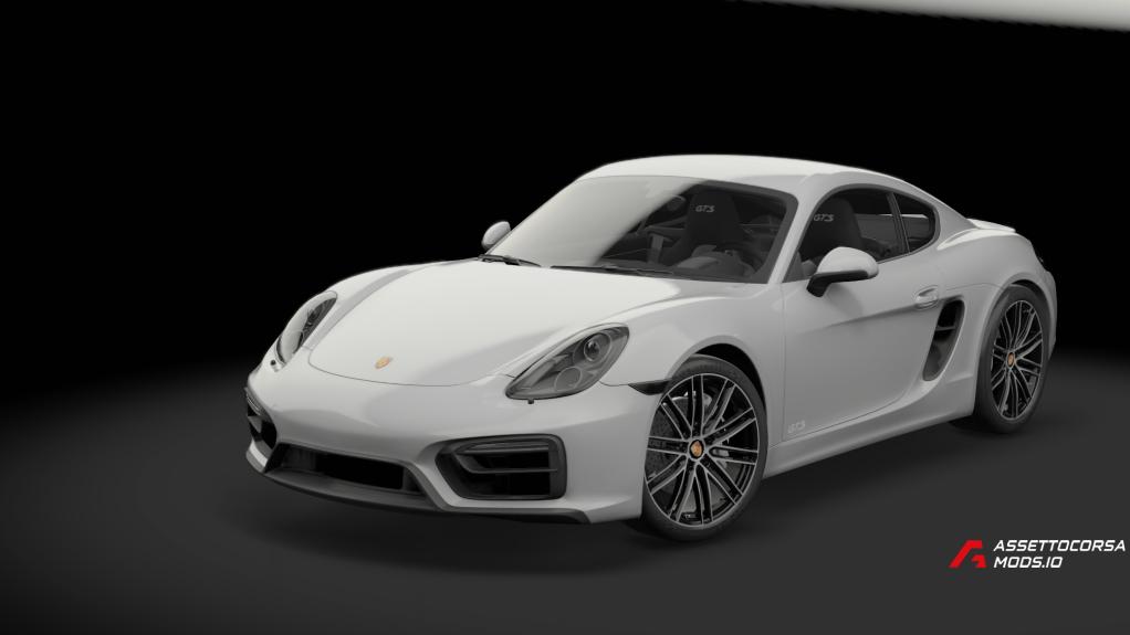 Porsche Cayman GTS 981 | TGN trackday performance