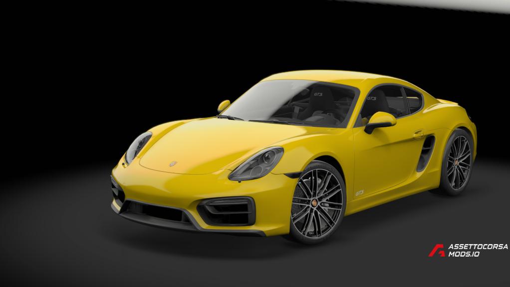 Porsche Cayman GTS 981 | TGN trackday performance