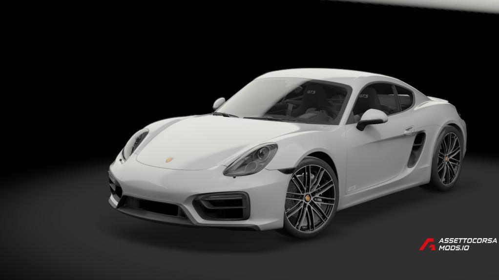 Porsche Cayman GTS 981 | TGN trackday performance