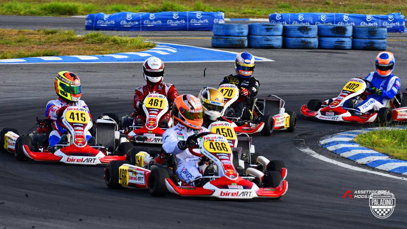 Circuito Paladino
