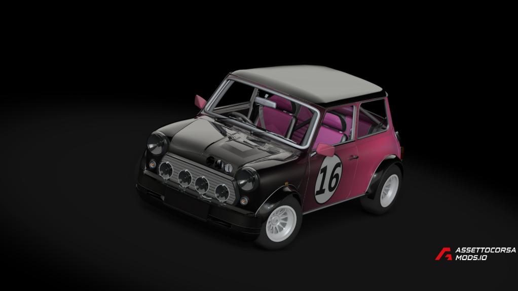 Austin Mini Race