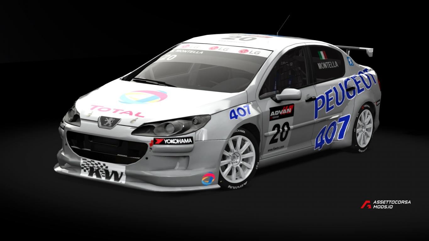 Peugeot 407 WTCC