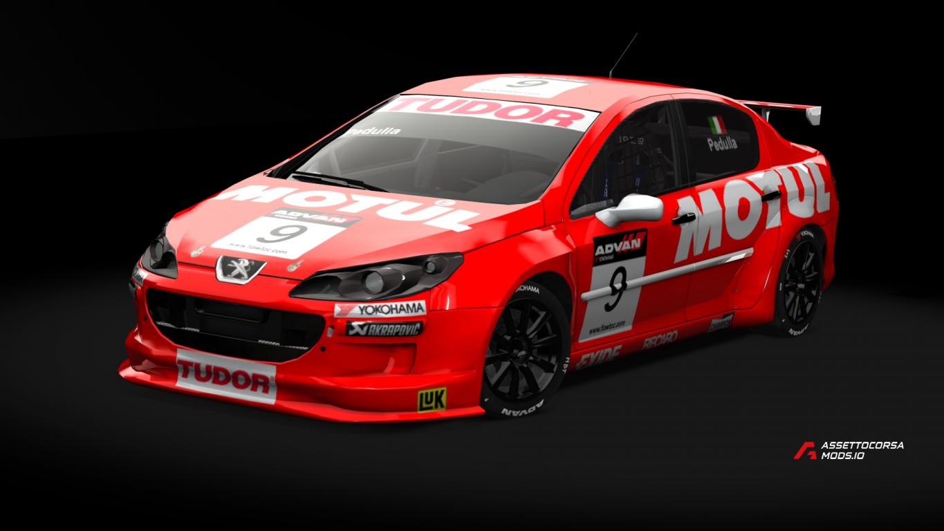 Peugeot 407 WTCC