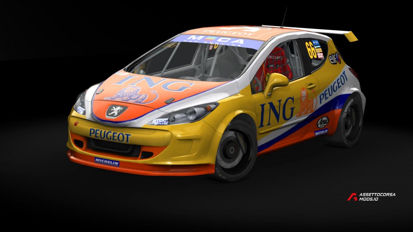 Peugeot 308 STCC
