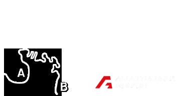 Fort Curva (Reverse)